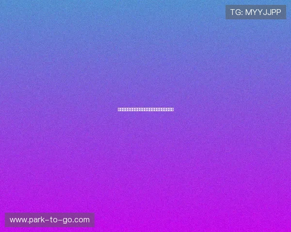 华球中文站：华球中文站的特色栏目与内容深度分析