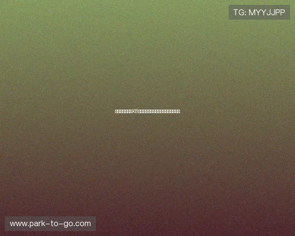 如何选择优质的K8体育登录登录线路确保赛事直播不卡顿